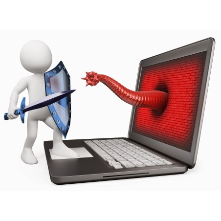 Virus Removal