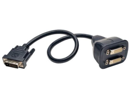 DVI Y Splitter Cable, Digital Monitors (DVI-D M to 2x F), 1-ft